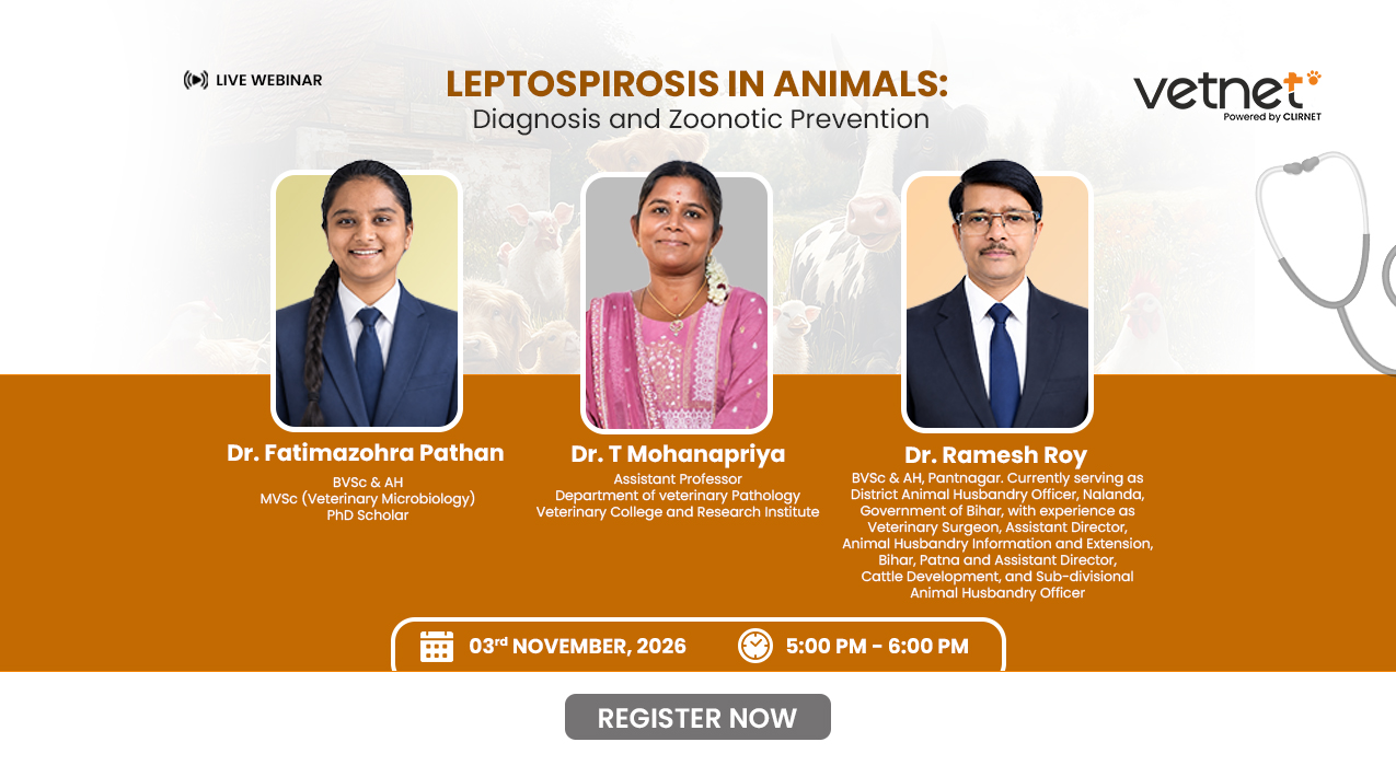 Leptospirosis in Animals: Diagnosis and Zoonotic Prevention